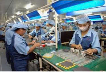 🇹🇼🇻🇳ĐƠN MIỄN PHÍ XUẤT CẢNH🇻🇳🇹🇼 1