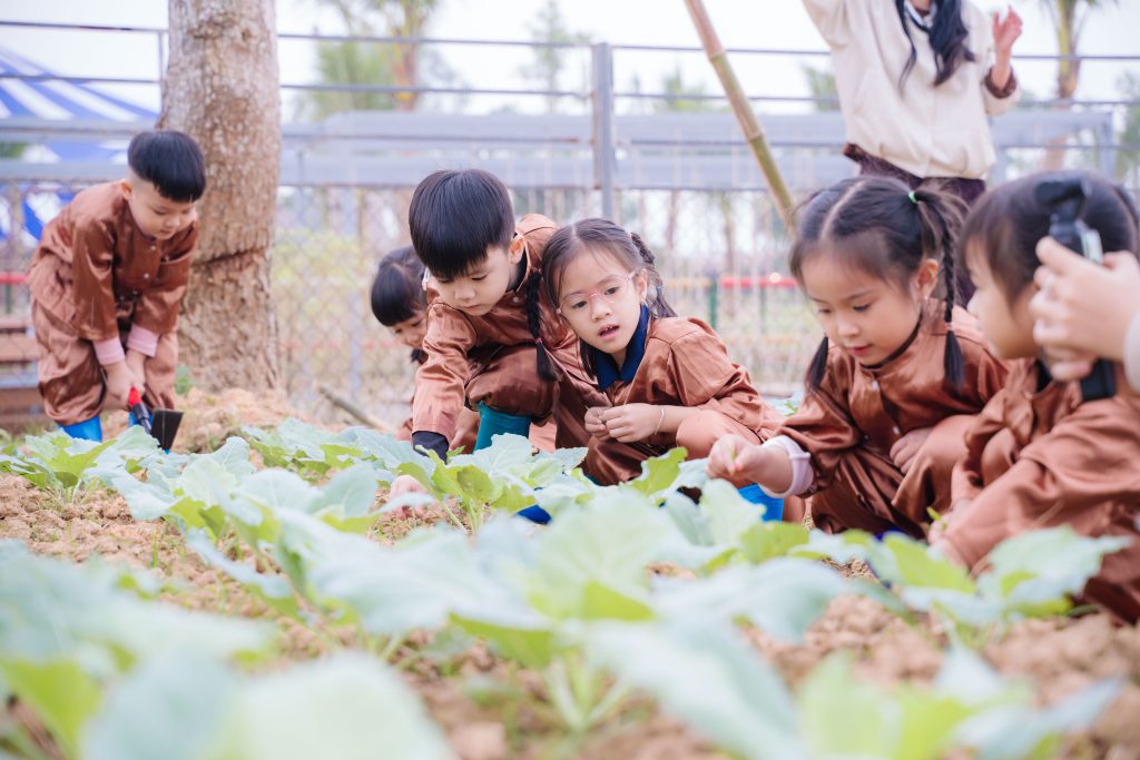 bamboo-edu-trai-nghiem-giao-duc-tai-phu-quy-edupark