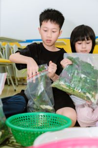 bamboo edu mc nhi chu mung 8 3 5